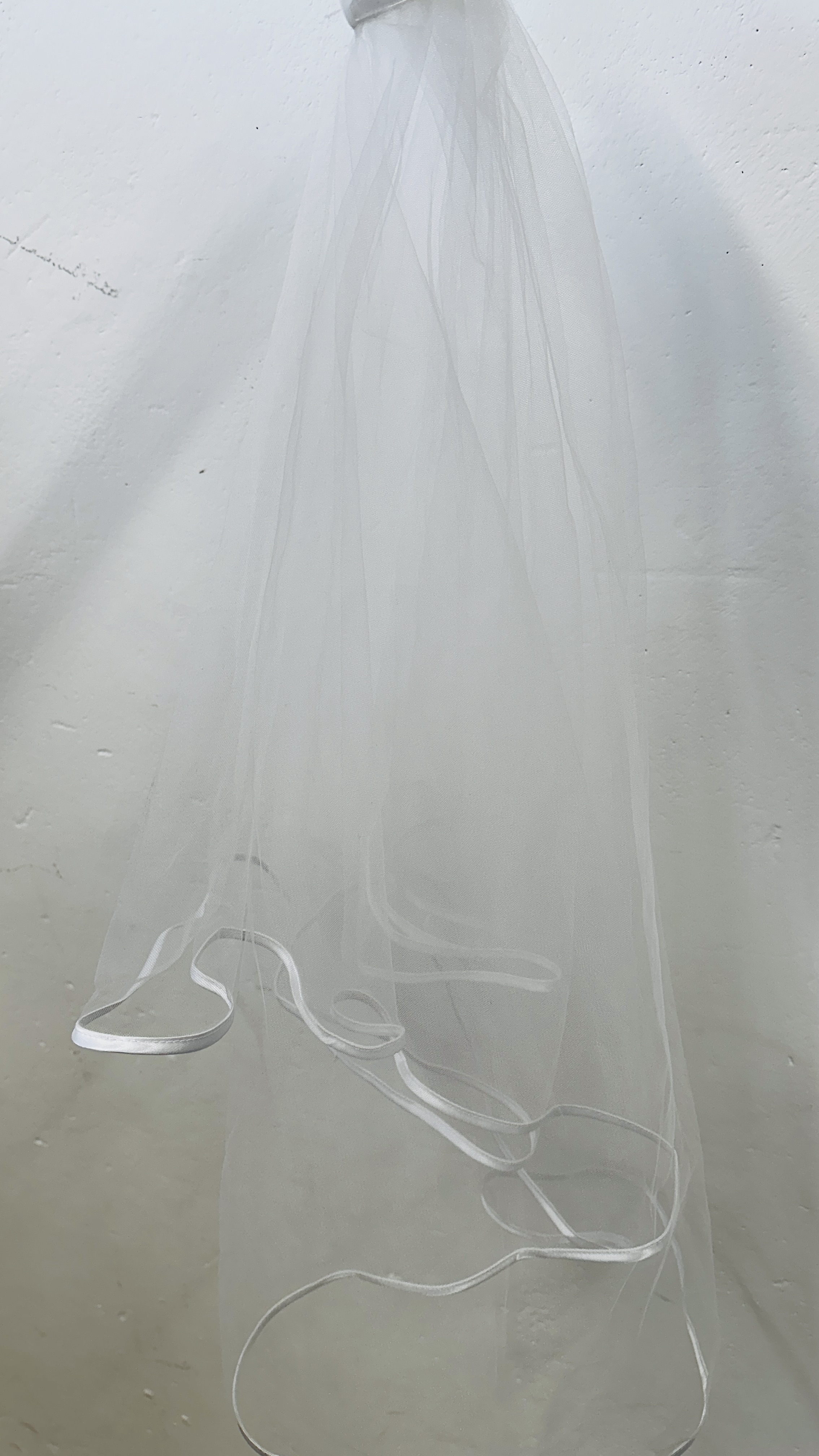 A "BIANCO EVENTO" WEDDING DRESS 40/L ALONG WITH TWO VEILS. - Image 9 of 11