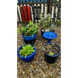 A PAIR OF LARGE BLUE GLAZED GARDEN PLANTERS PLUS THREE OTHER LARGE BLUE GLAZED PLANTERS AND BLUE