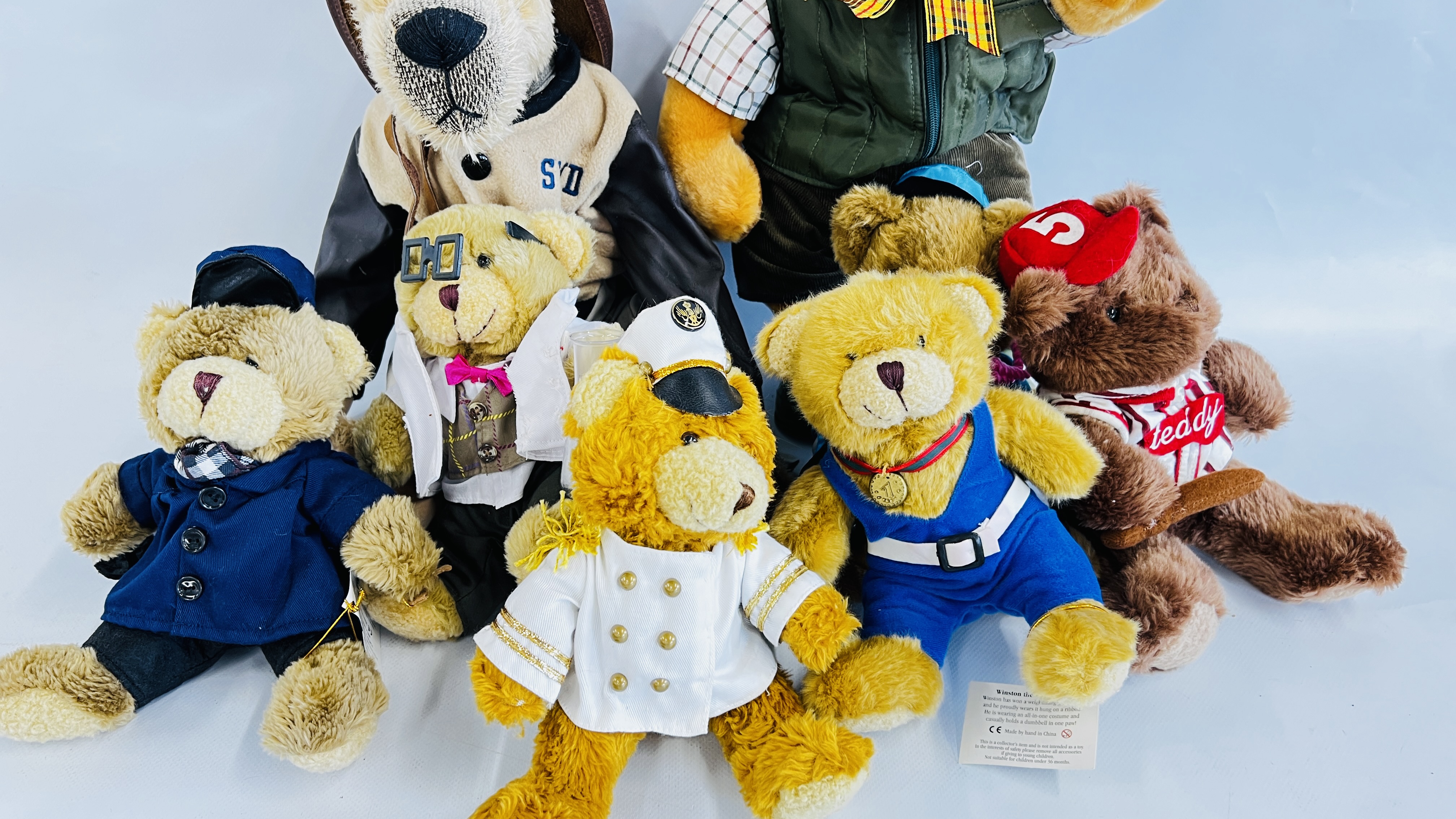 A BOX OF GOOD QUALITY TEDDY BEARS TO INCLUDE MANY EXAMPLES MARKED "THE TEDDY BEAR COLLECTION". - Image 4 of 6