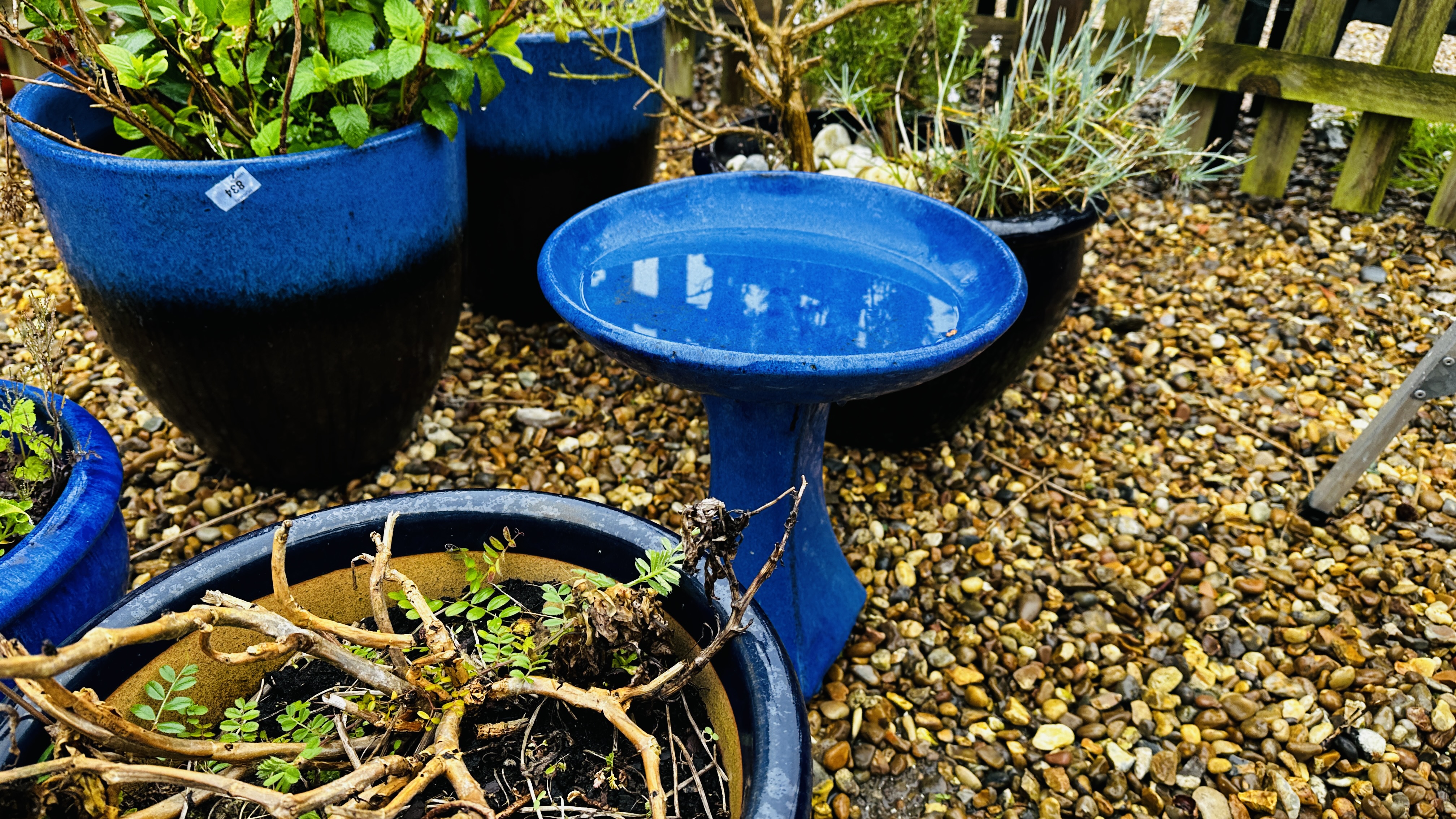 A PAIR OF LARGE BLUE GLAZED GARDEN PLANTERS PLUS THREE OTHER LARGE BLUE GLAZED PLANTERS AND BLUE - Bild 4 aus 8