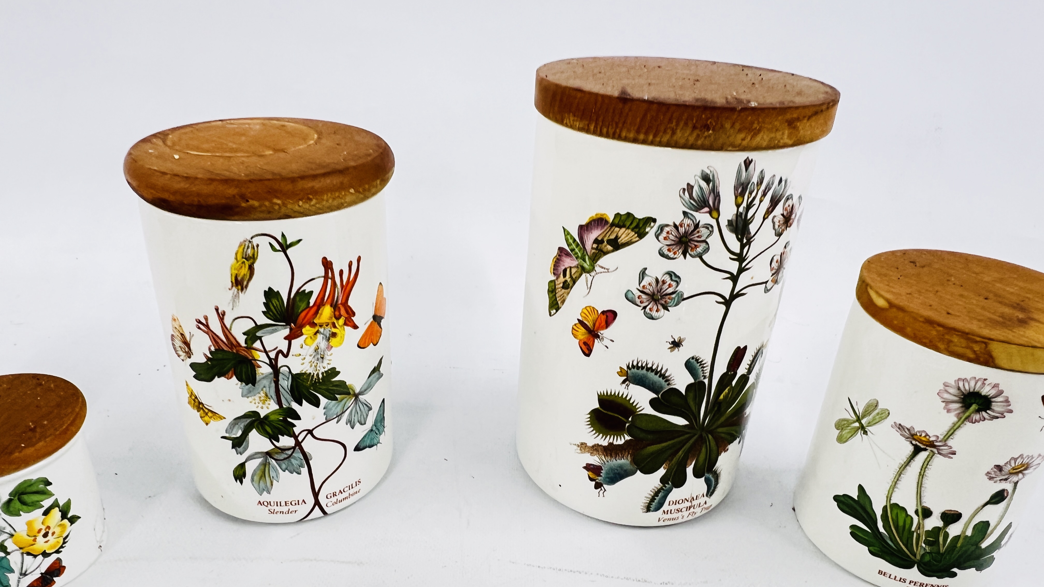 A COLLECTION OF "PORTMEIRON" BOTANIC GARDENS TO INCLUDE 5 STORAGE JARS. - Bild 8 aus 13