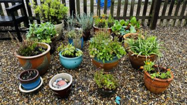 A GROUP OF SIXTEEN VARIOUS GARDEN PLANTERS AND CONTENTS.