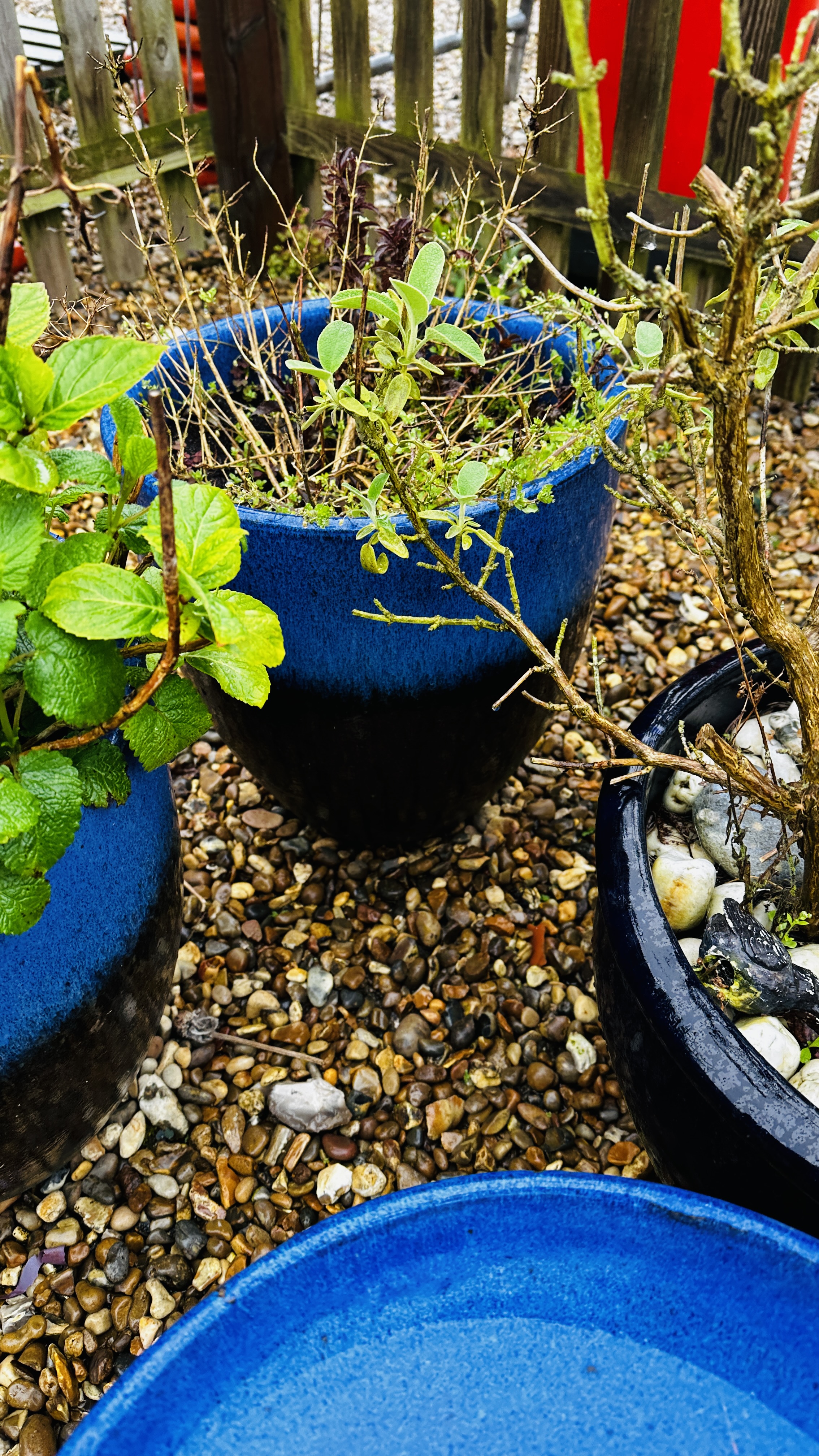 A PAIR OF LARGE BLUE GLAZED GARDEN PLANTERS PLUS THREE OTHER LARGE BLUE GLAZED PLANTERS AND BLUE - Bild 8 aus 8