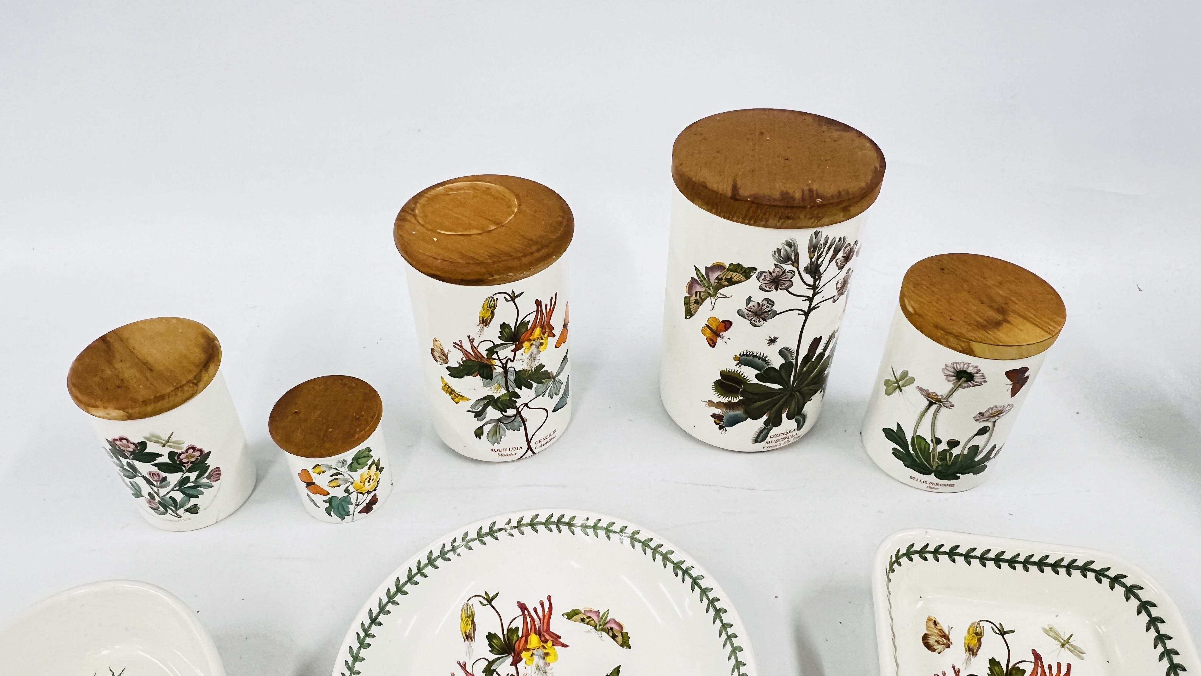 A COLLECTION OF "PORTMEIRON" BOTANIC GARDENS TO INCLUDE 5 STORAGE JARS. - Bild 6 aus 13