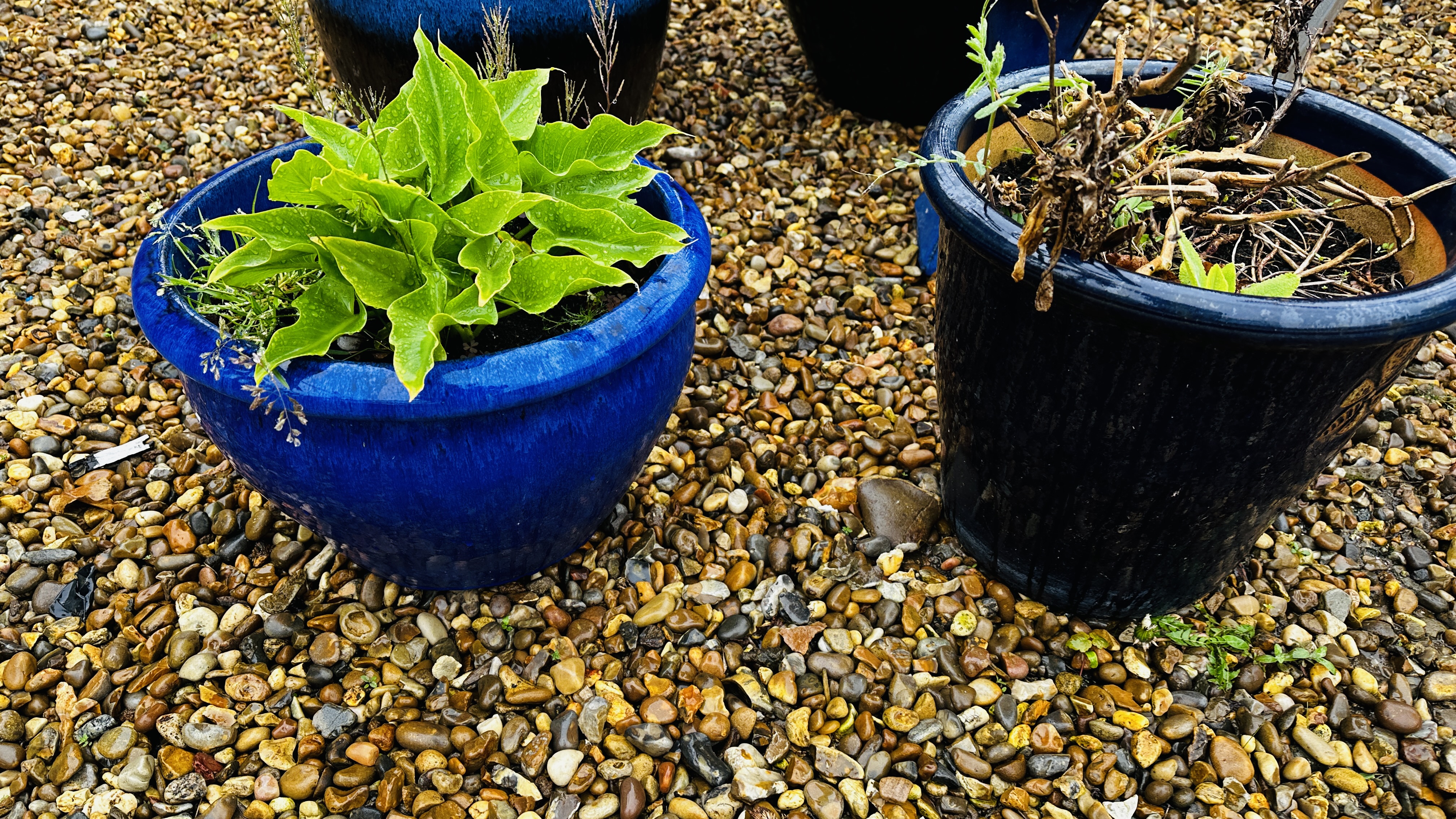 A PAIR OF LARGE BLUE GLAZED GARDEN PLANTERS PLUS THREE OTHER LARGE BLUE GLAZED PLANTERS AND BLUE - Bild 2 aus 8