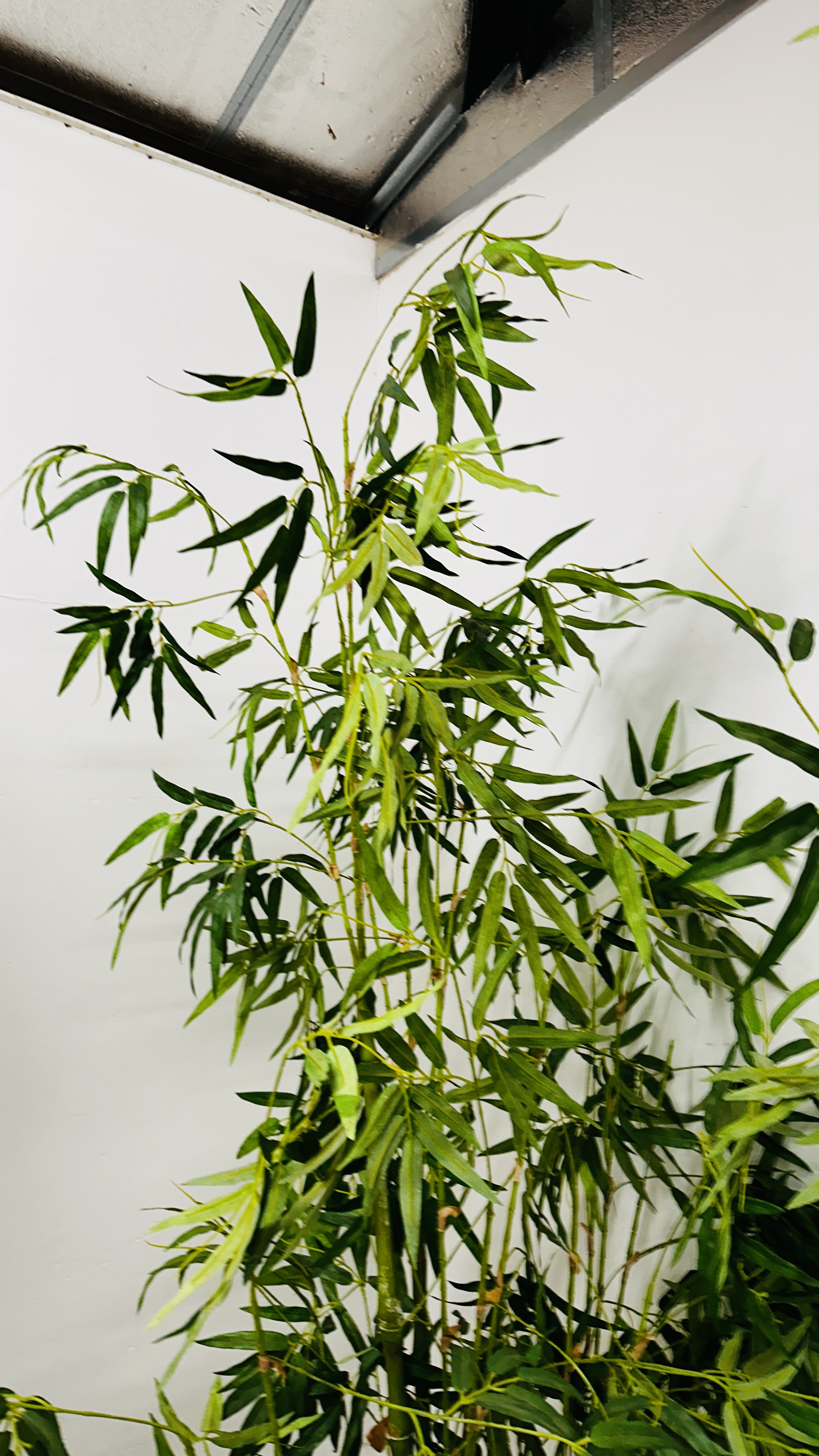 A LARGE ARTIFICIAL BAMBOO PLANT IN A TERRACOTTA POT - H 230CM. - Image 6 of 9