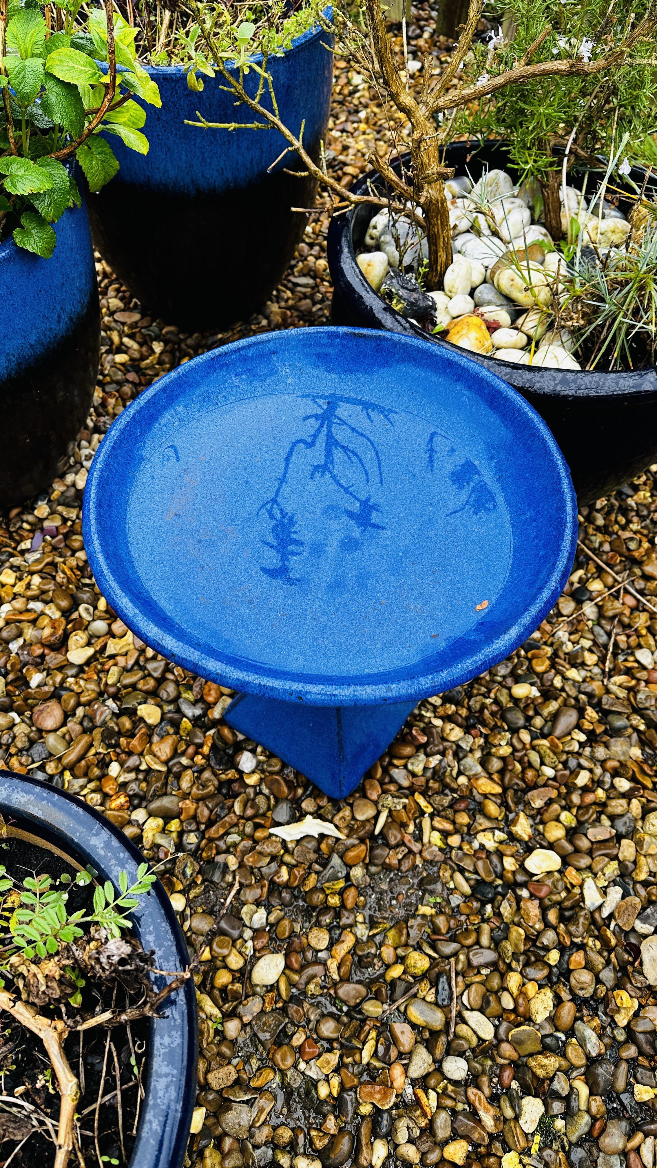 A PAIR OF LARGE BLUE GLAZED GARDEN PLANTERS PLUS THREE OTHER LARGE BLUE GLAZED PLANTERS AND BLUE - Bild 5 aus 8