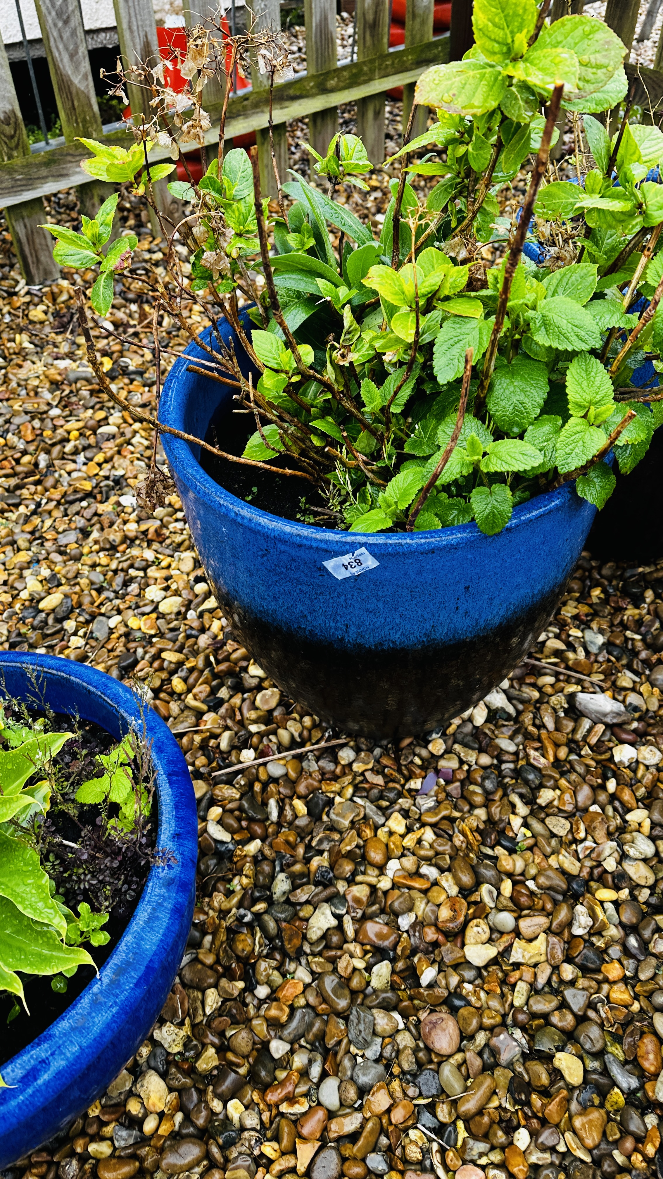 A PAIR OF LARGE BLUE GLAZED GARDEN PLANTERS PLUS THREE OTHER LARGE BLUE GLAZED PLANTERS AND BLUE - Bild 7 aus 8