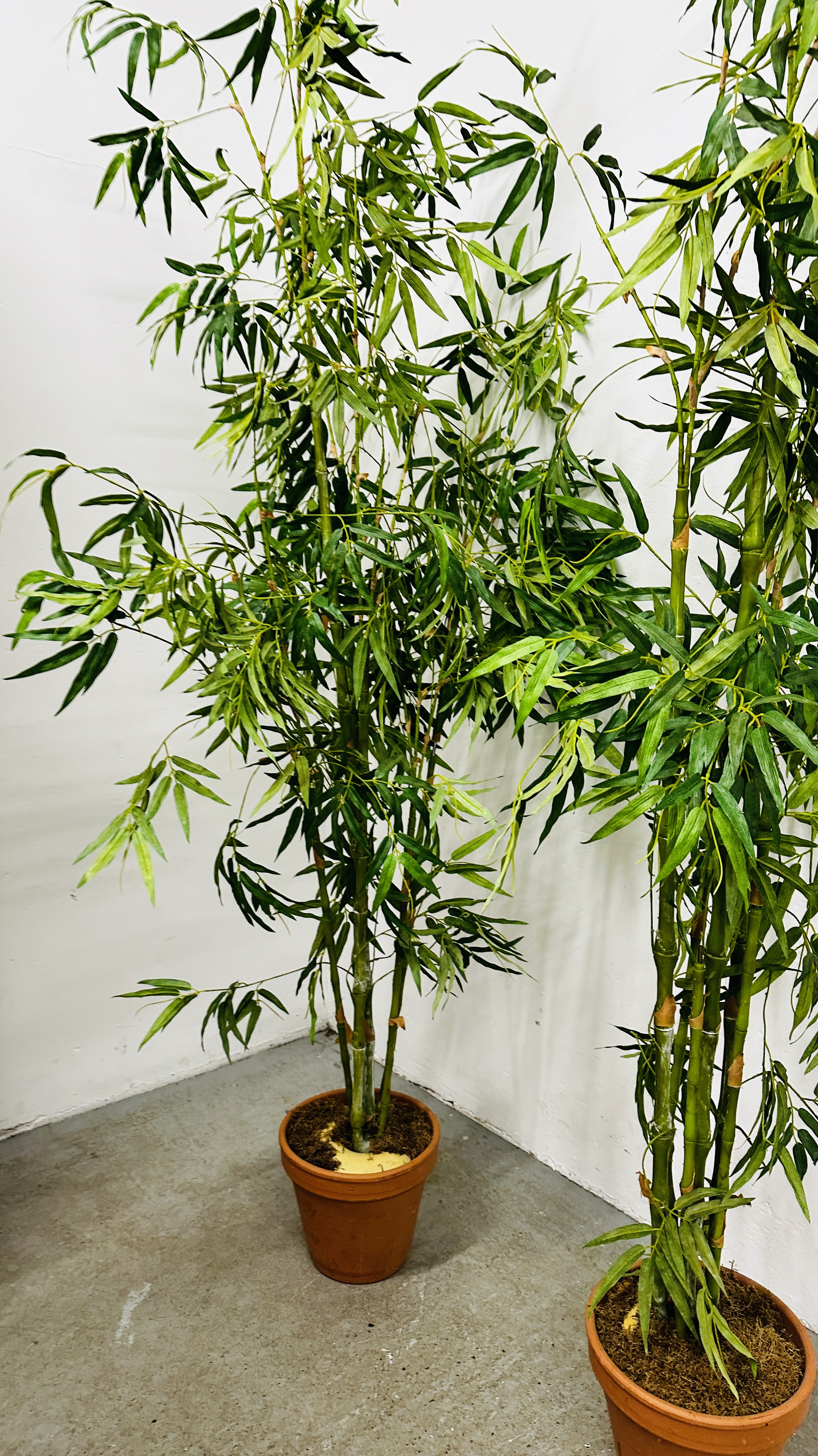 A LARGE ARTIFICIAL BAMBOO PLANT IN A TERRACOTTA POT - H 230CM. - Image 9 of 9