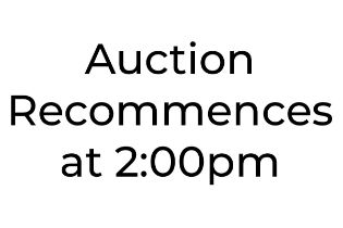 Break for Lunch. Auction to recommence at 2:00pm