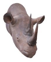 A FIBREGLASS CAST OF A CAPE AND HEAD MOUNT OF A BLACK RHINOCEROS, with 16in. horn.