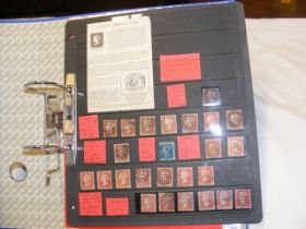 An album containing collectable GB stamps - Queen