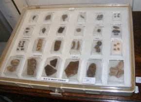 A montage of Isle of Wight fossils