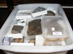 A box of collectable fossils