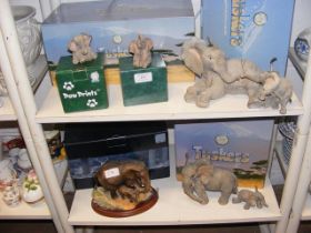 Two shelves of boxed 'Tuskers' Elephant ornaments