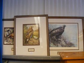 Two BOB MONTGOMERY watercolours of Birds of Prey,