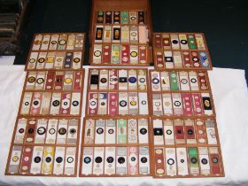 Twelve trays of interesting old microscope slides