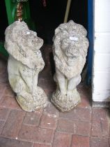 A pair of cast concrete garden lions - height 55cm