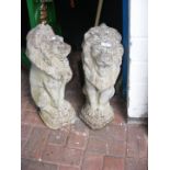 A pair of cast concrete garden lions - height 55cm