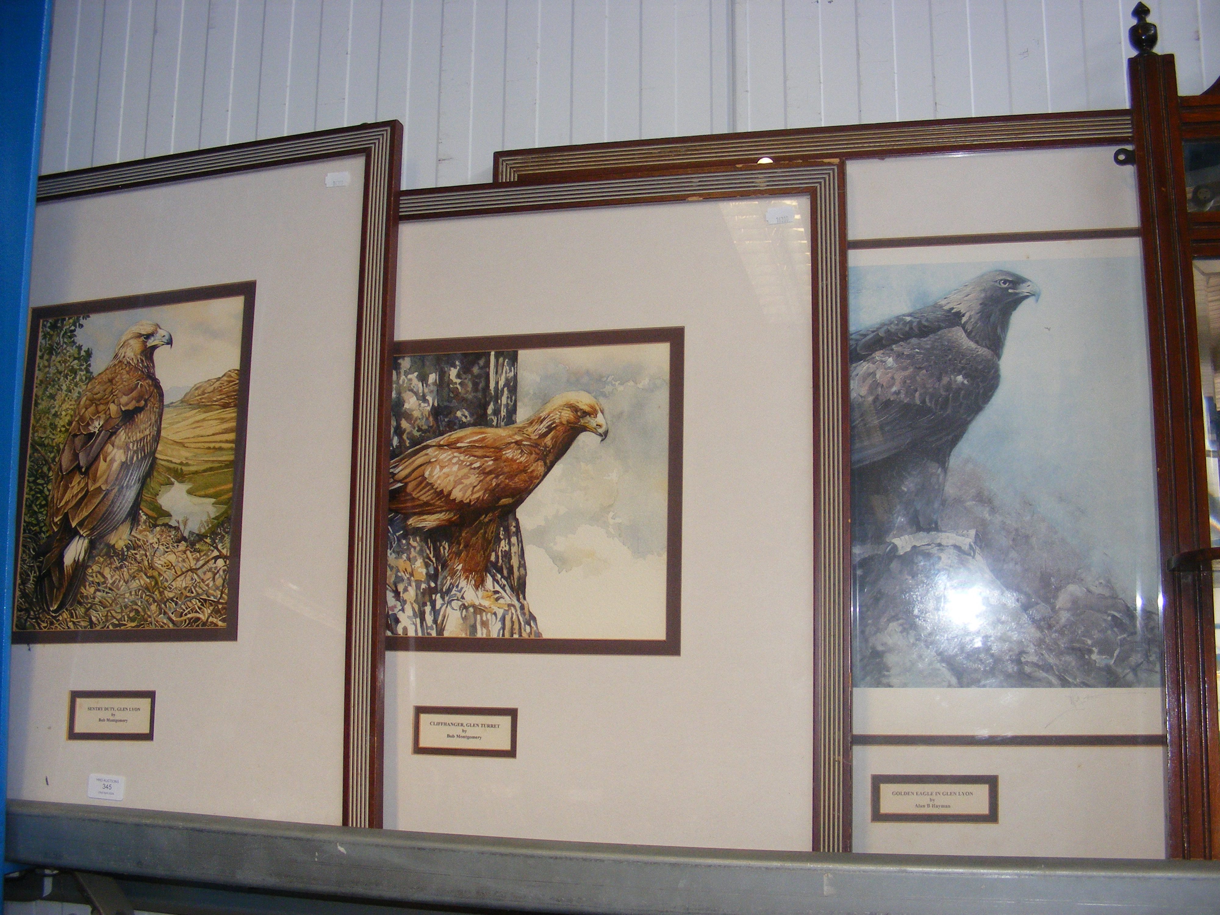 Two BOB MONTGOMERY watercolours of Birds of Prey,