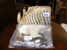 A ship's artefacts, together with a large fossil