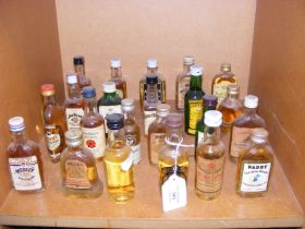 Twenty-two whisky and bourbon spirit miniatures