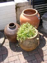 Three amphoras of varying size