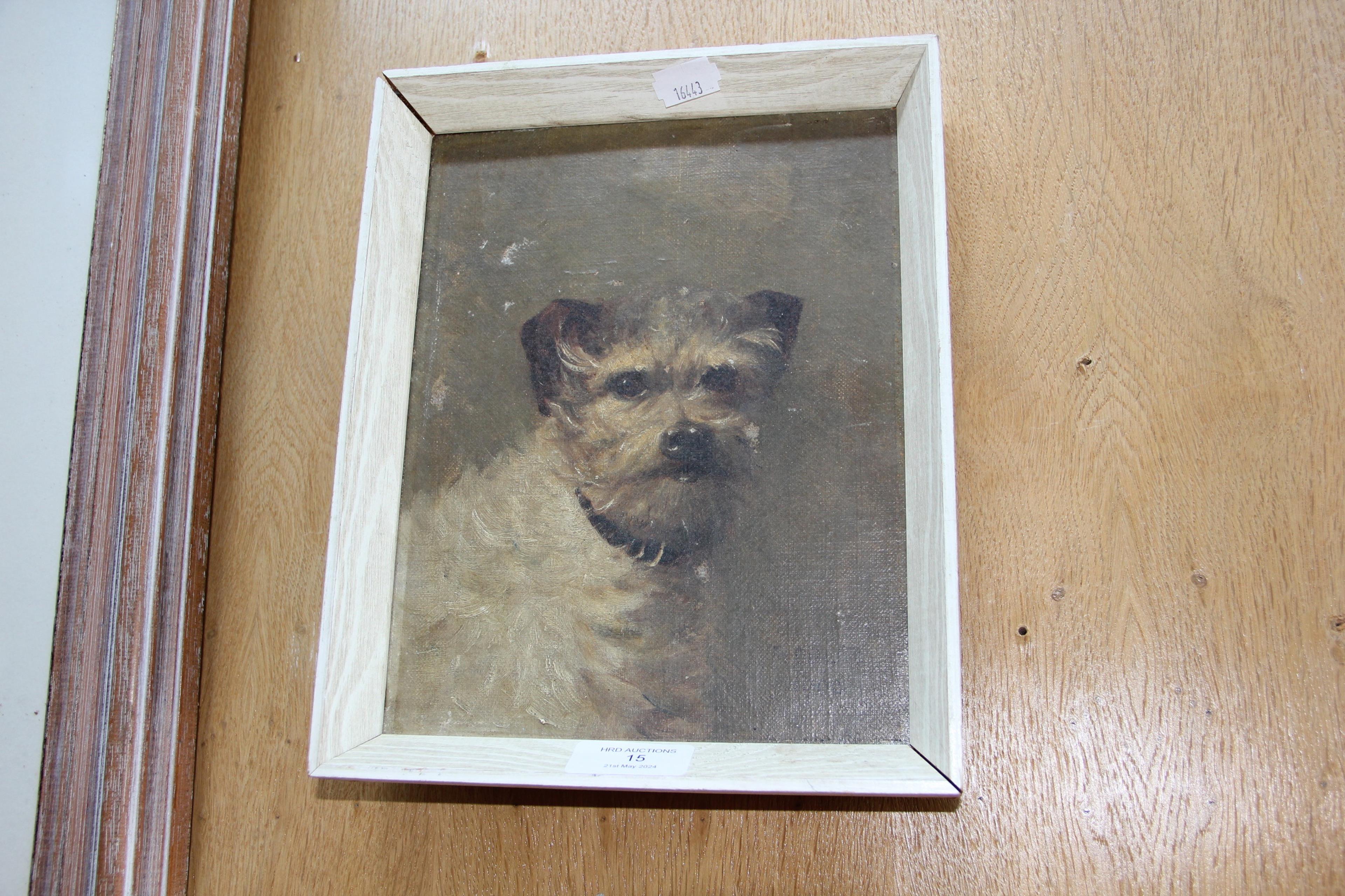 FIDDLER - oil on canvas portrait of dog - 22cm x 1
