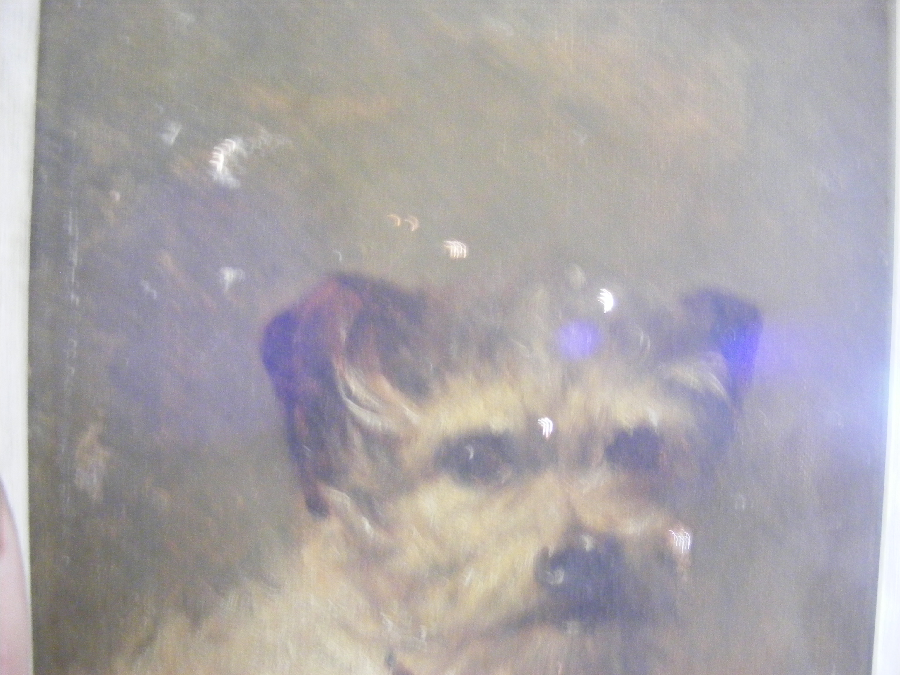 FIDDLER - oil on canvas portrait of dog - 22cm x 1 - Image 8 of 11