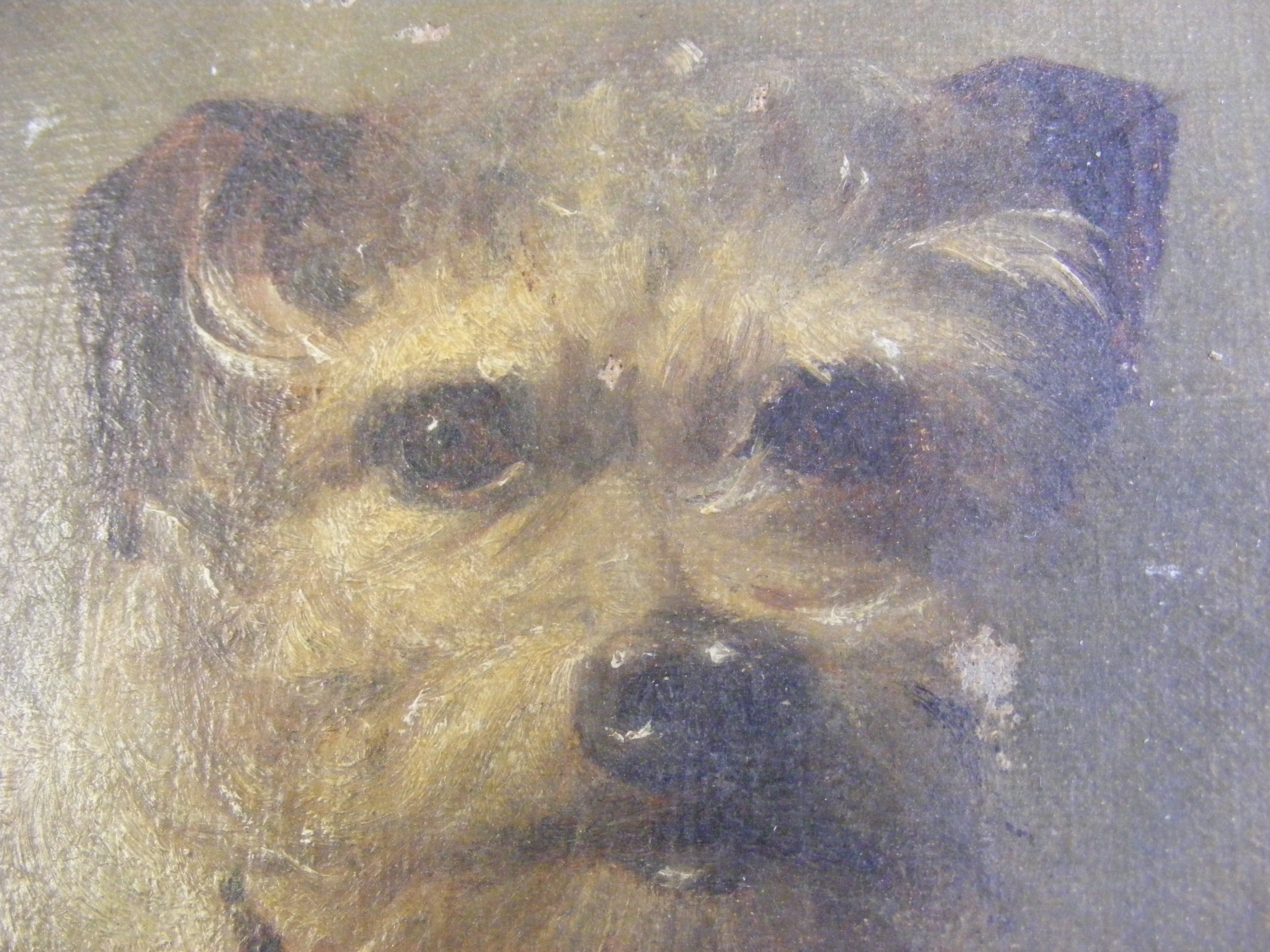FIDDLER - oil on canvas portrait of dog - 22cm x 1 - Image 11 of 11