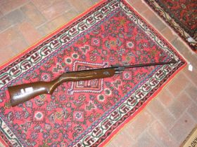 An air rifle with serial number 110526662 to side