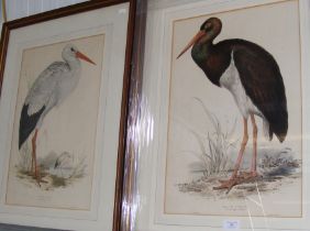 EDWARD LEAR - A pair of coloured lithographs, printed by Hullmandel
