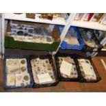 A large collection of Isle of Wight fossils