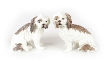 A PAIR OF 20TH CENTURY MEISSEN PORCELAIN TERRIERS