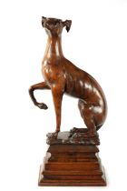 A GOOD 19TH CENTURY CARVED WALNUT OVER-SIZED SCULPTURE OF A SEATED GREYHOUND