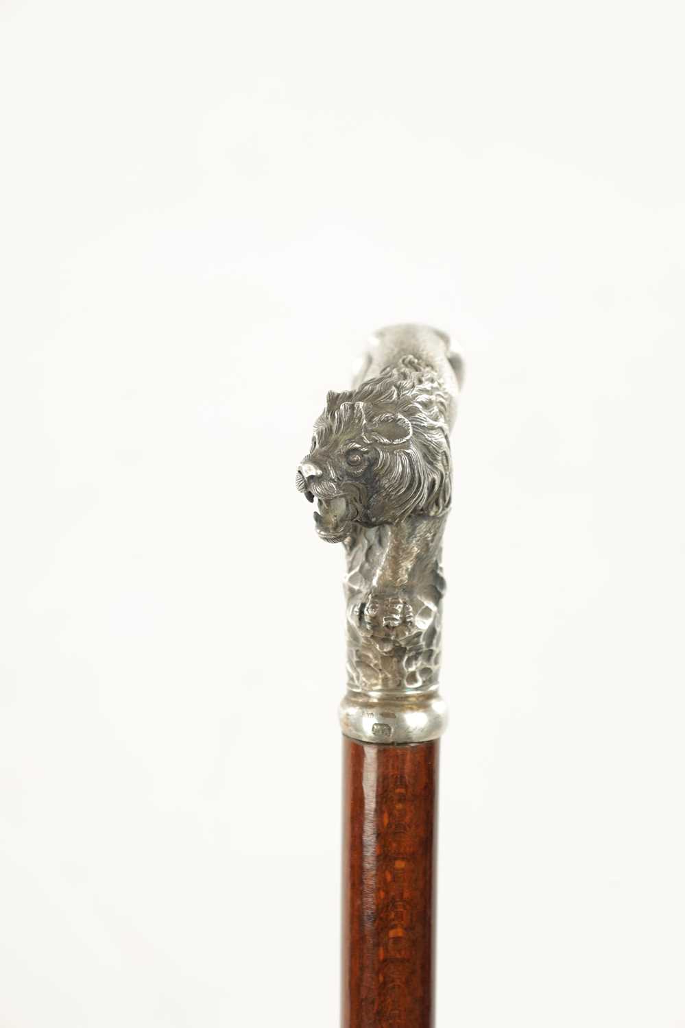 A LATE 19TH CENTURY SILVER TOPPED WALKING STICK MODELLED AS A PROWLING LION - Image 4 of 7