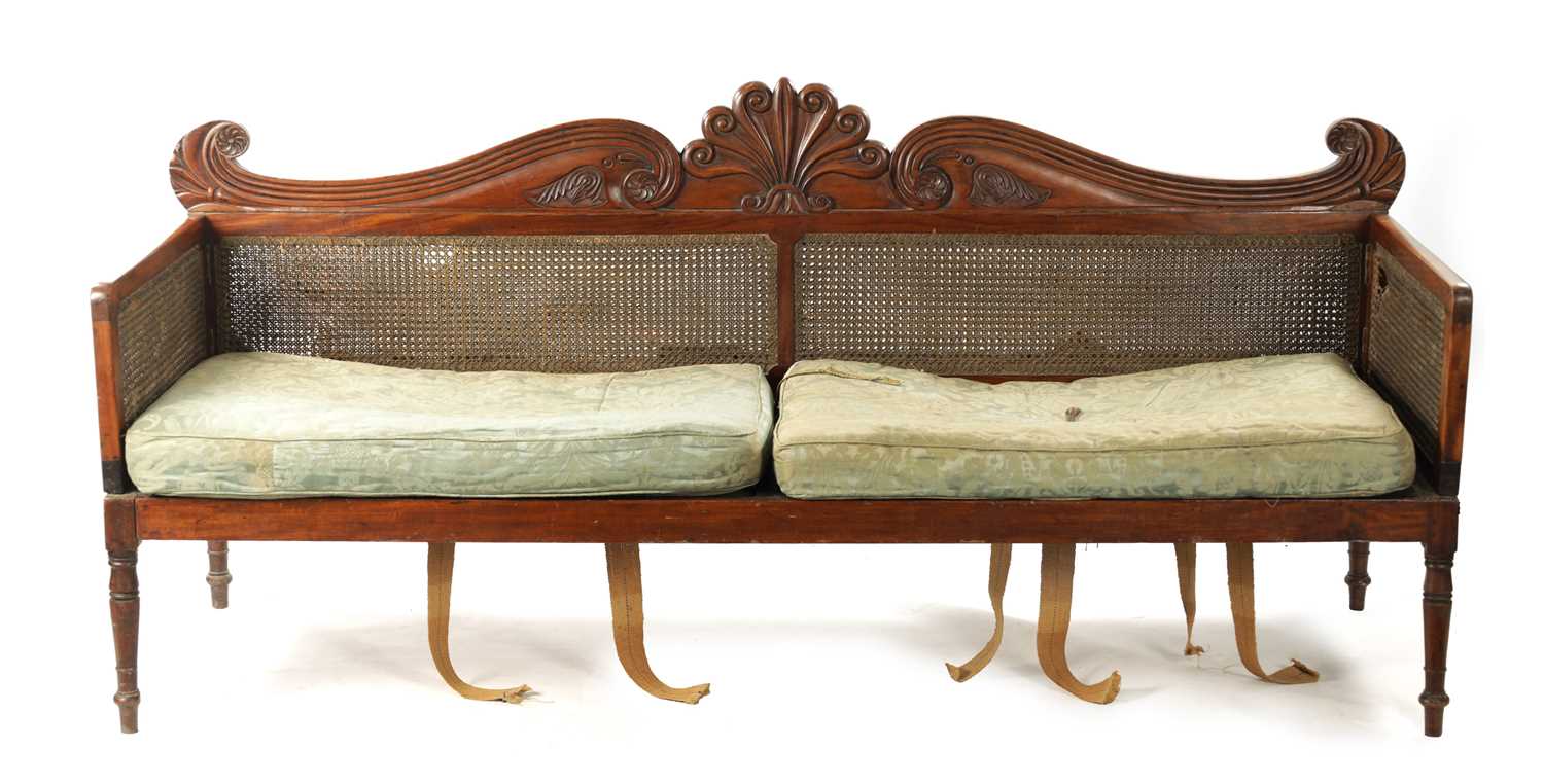 AN UNUSUAL REGENCY CAMPHOR WOOD CAMPAIGN SETTEE