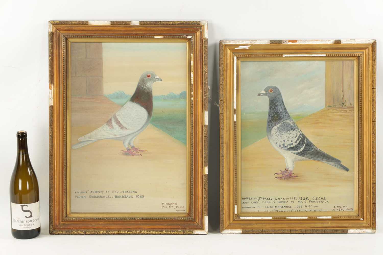 A PAIR OF EARLY 20TH CENTURY OIL ON CANVAS PORTRAITS OF RACING PIGEONS - Image 2 of 9