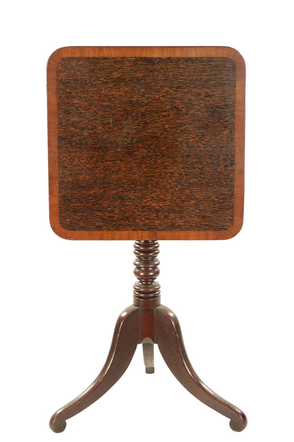 A REGENCY TRIPOD TABLE WITH PALM WOOD TOP AND MAHOGANY BASE