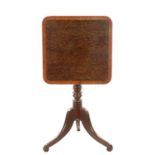 A REGENCY TRIPOD TABLE WITH PALM WOOD TOP AND MAHOGANY BASE
