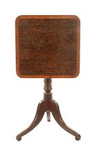 A REGENCY TRIPOD TABLE WITH PALM WOOD TOP AND MAHOGANY BASE