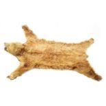 A 19TH CENTURY TAXIDERMY BLONDE BEAR SKIN RUG