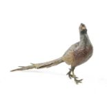 FRANZ BERGMAN. A LATE 19TH CENTURY COLD PAINTED BRONZE SCULPTURE OF A PHEASANT