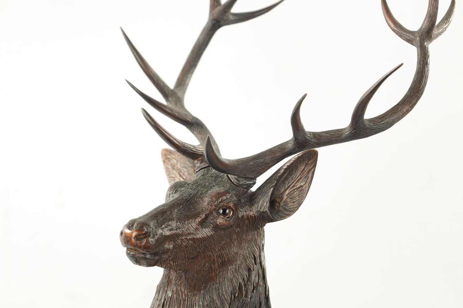 A FINE QUALITY LATE 19TH CENTURY BLACK FOREST CARVED STAG SIGNED ERNST HEISL - Image 4 of 9