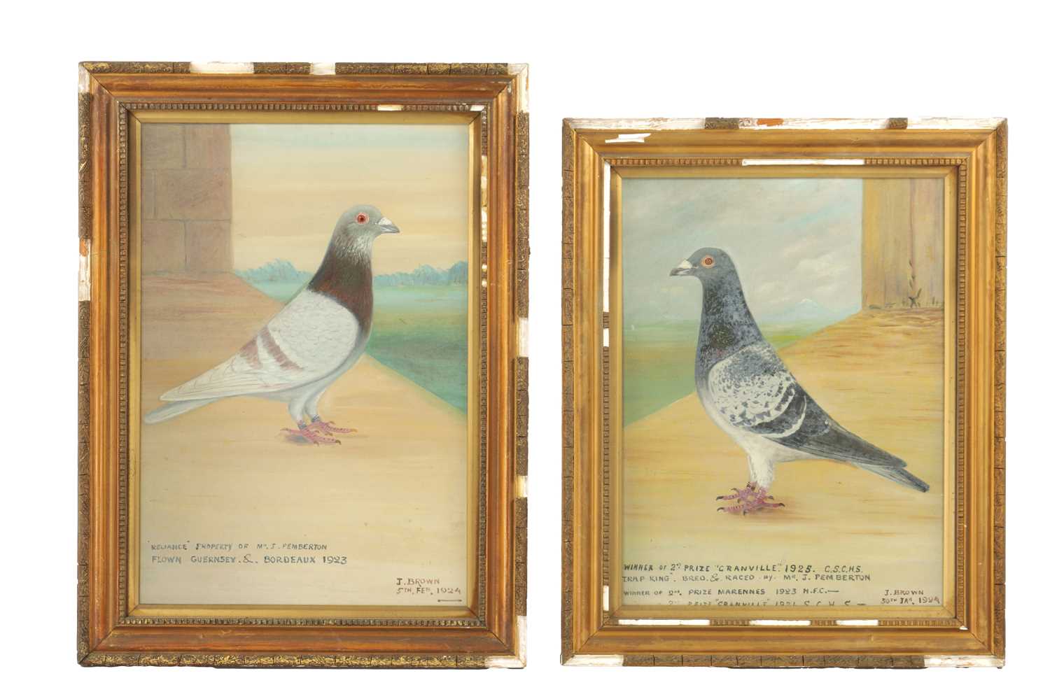 A PAIR OF EARLY 20TH CENTURY OIL ON CANVAS PORTRAITS OF RACING PIGEONS