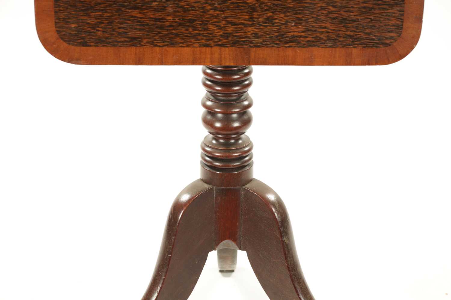 A REGENCY TRIPOD TABLE WITH PALM WOOD TOP AND MAHOGANY BASE - Image 3 of 5