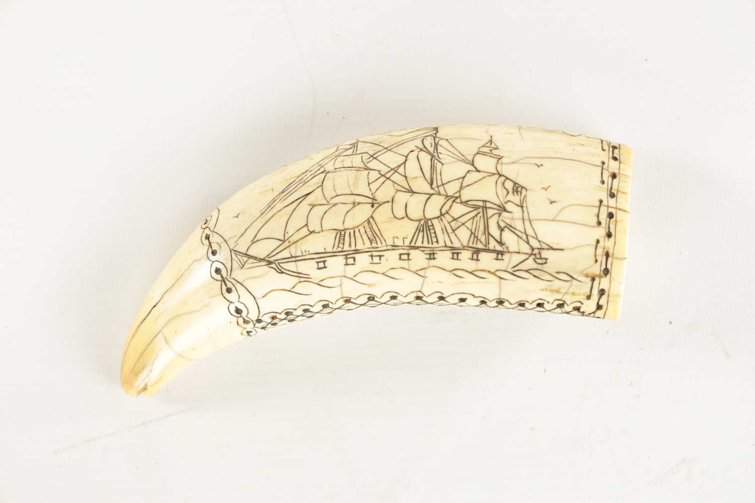 A 19TH CENTURY SAILS SCRIMSHAW WHALE TOOTH - Image 5 of 8