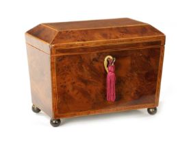 A REGENCY BURR YEW TEA CADDY