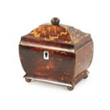 A 19TH CENTURY TORTOISESHELL TEA CADDY OF SMALL SIZE