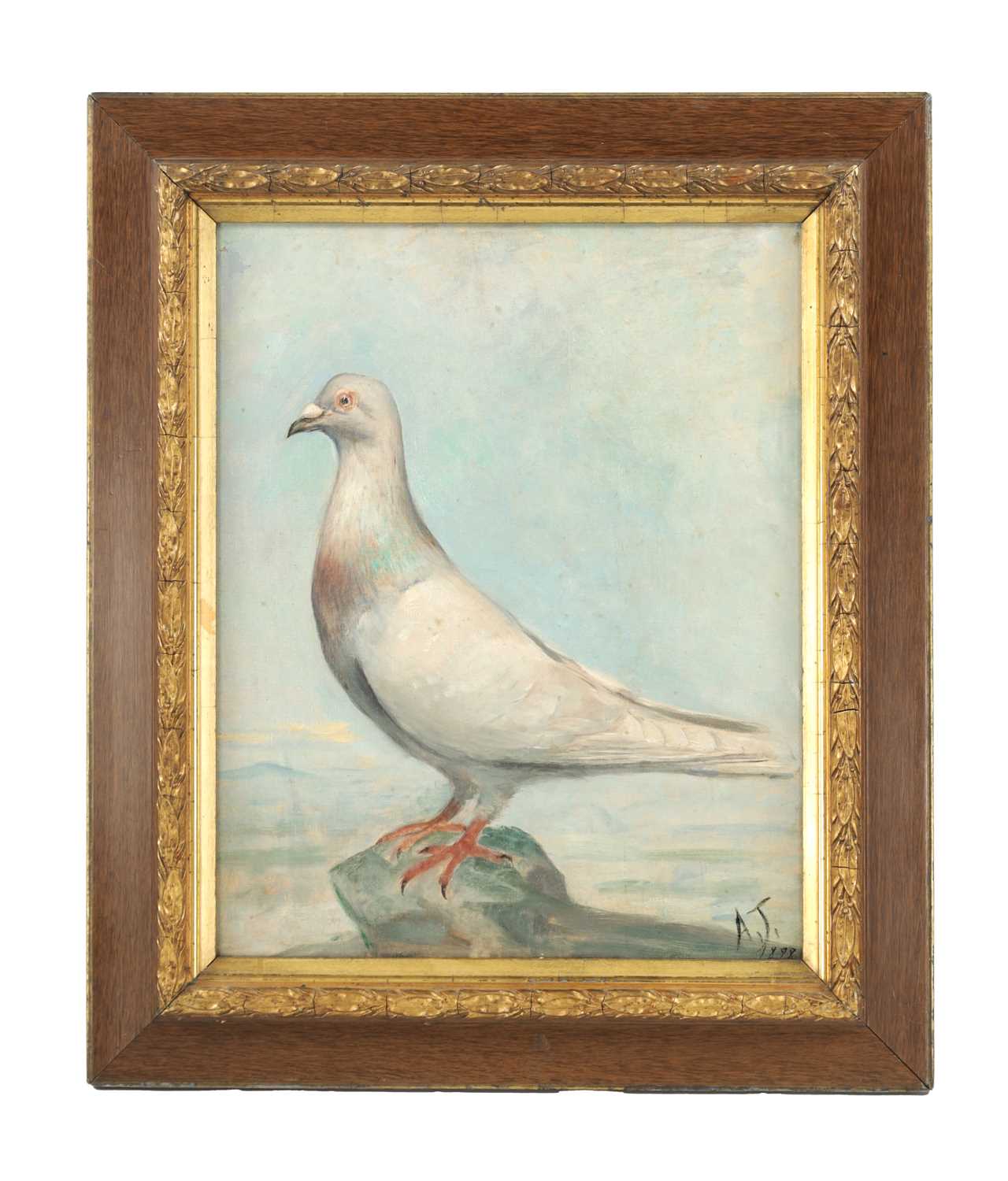 A 19TH CENTURY OIL ON CANVAS PORTRAIT OF A RACING PIGEON